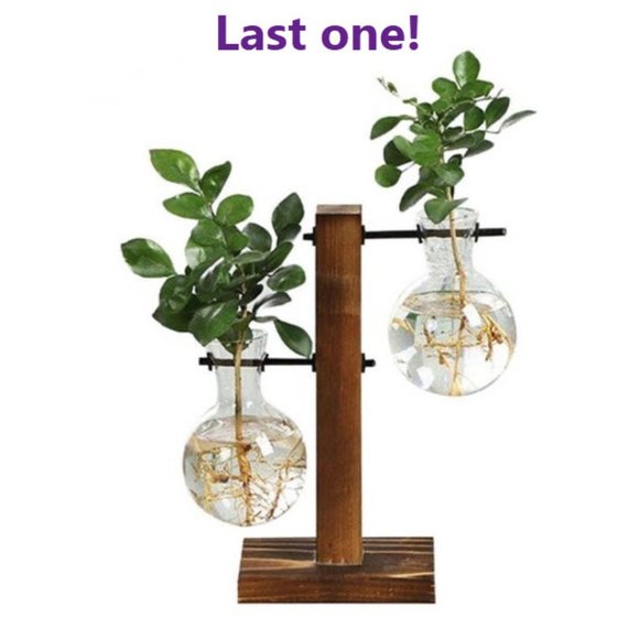 Other - BACK IN STOCK! | Hydroponic Vase